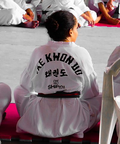 Gold Sports Taekwondo image